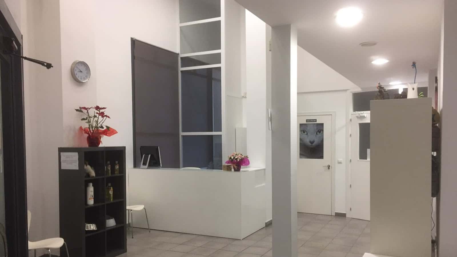 clinica veterinaria campo de gibraltar veterinario clinica en algeciras en cadiz principalImage ADOPTA Sitios Pet Friendly
