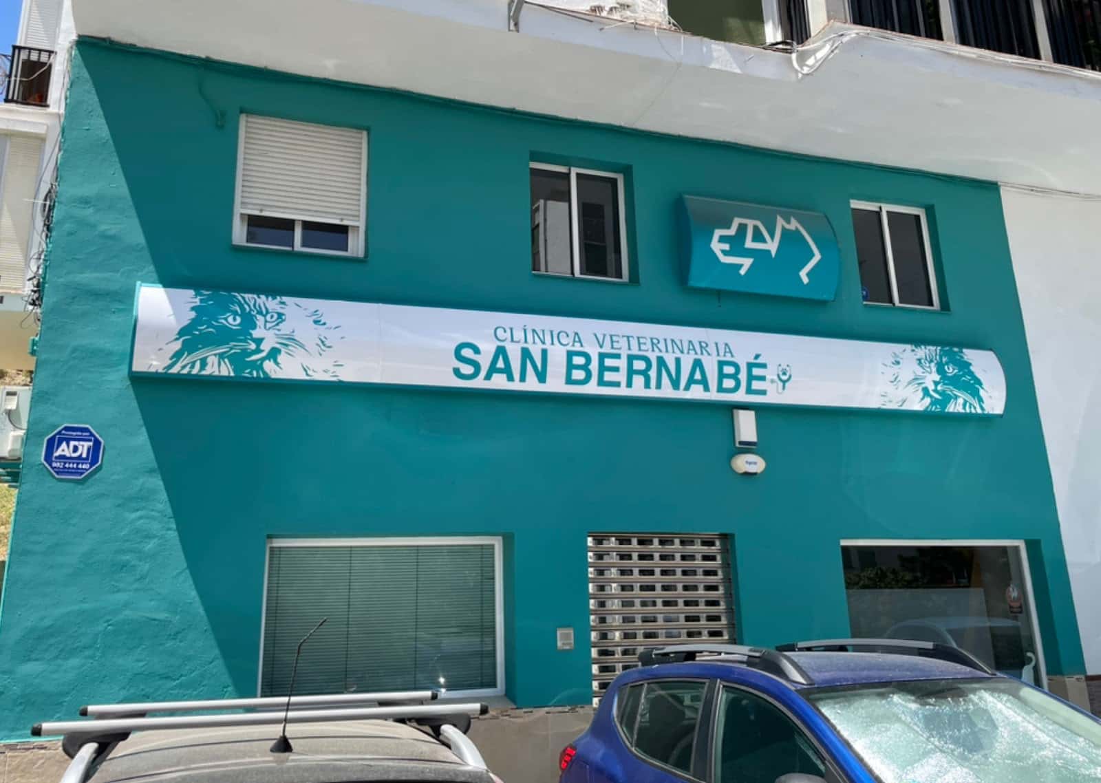 clinica san bernabe veterinario clinica en algeciras en cadiz principalImage ADOPTA Sitios Pet Friendly