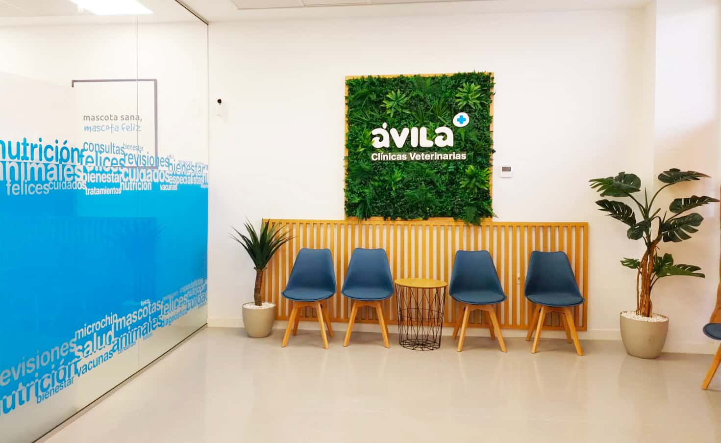 Clínica Veterinaria Ávila Los Barrios