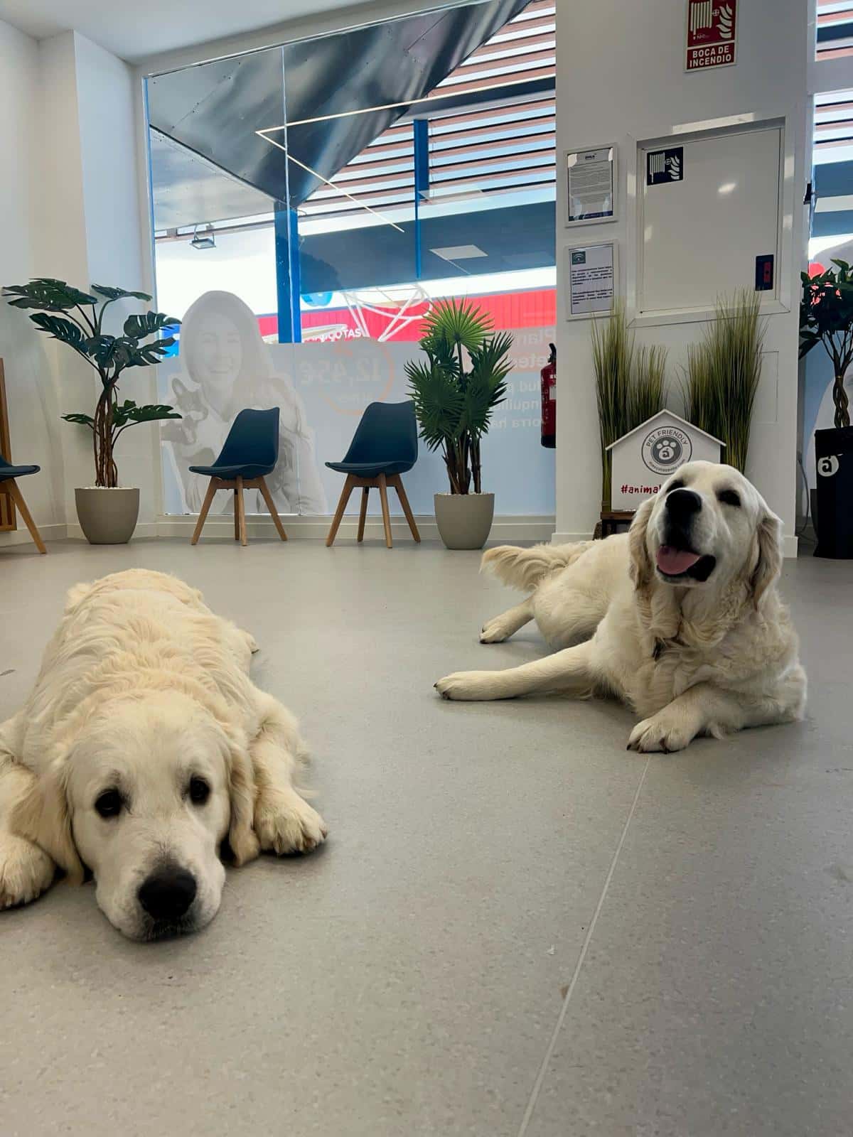 Clínica Veterinaria Ávila Los Barrios