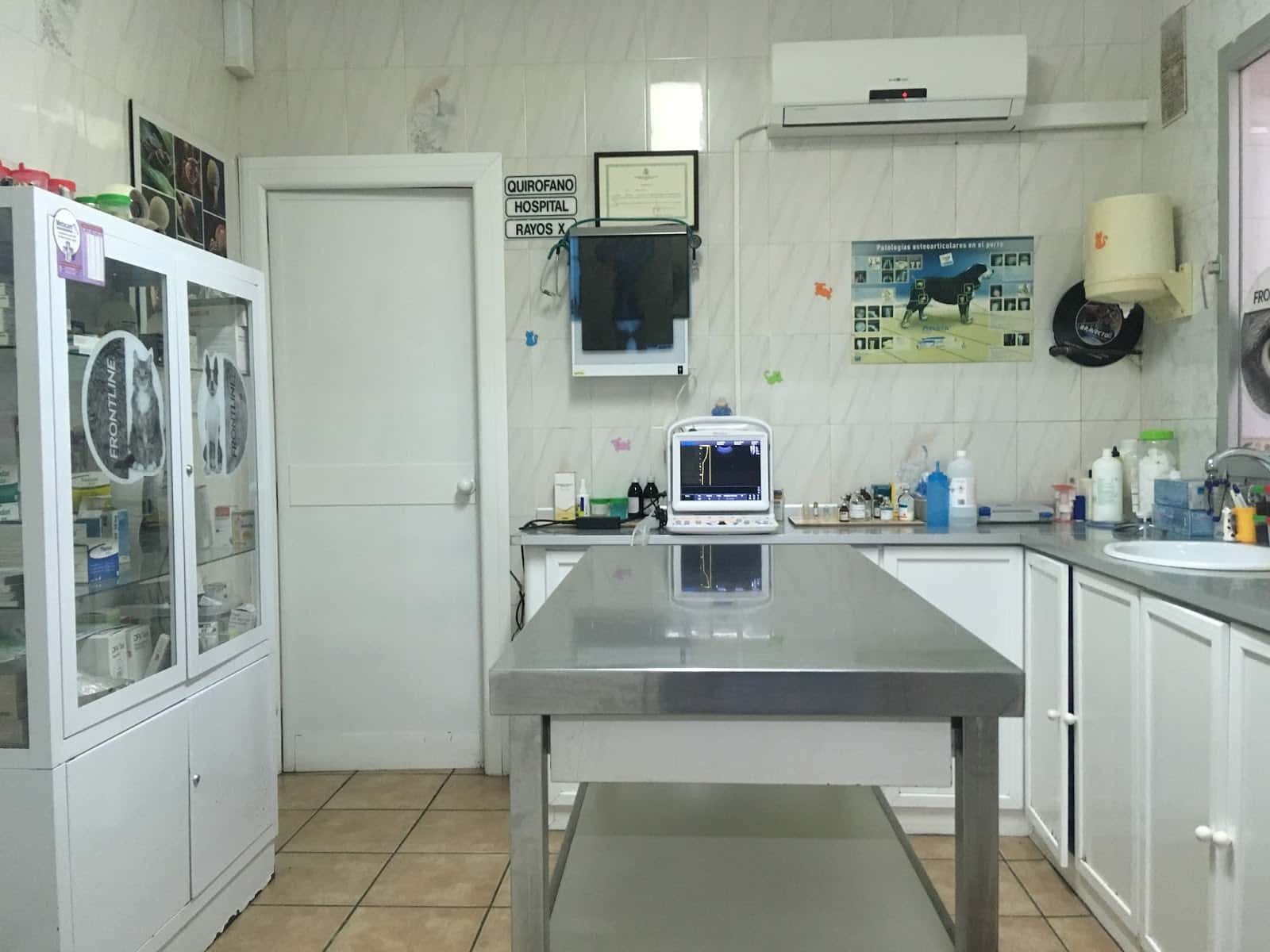 clinica veterinaria zoolinea veterinario clinica en la linea de la concepcion en cadiz principalImage ADOPTA Sitios Pet Friendly