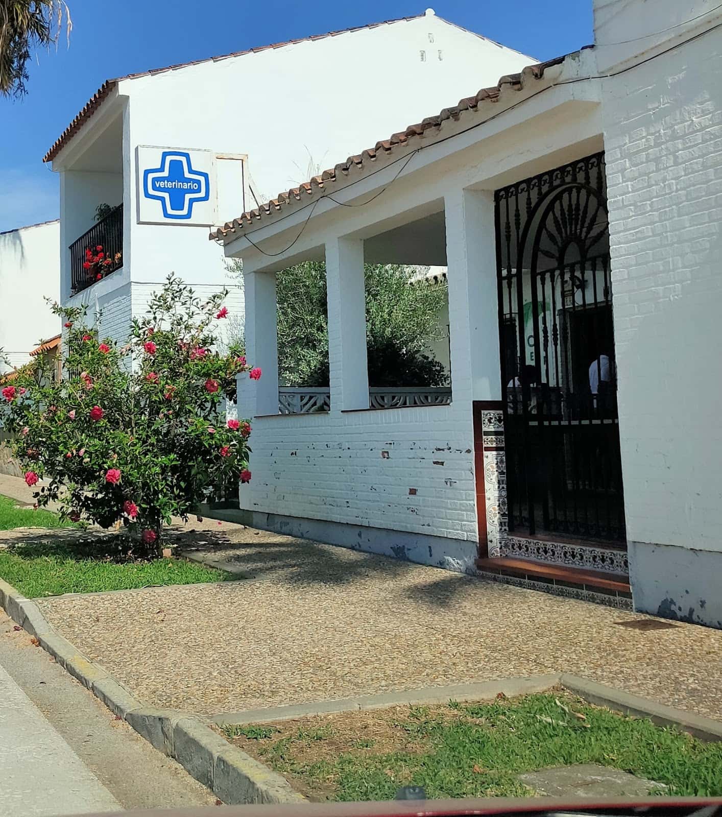 centro veterinario vdc veterinario centro en castellar de la frontera en cadiz principalImage ADOPTA Sitios Pet Friendly