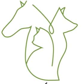 consultorio veterinario clara alvarez veterinario centro en cortes de la frontera en malaga principalImage ADOPTA Sitios Pet Friendly