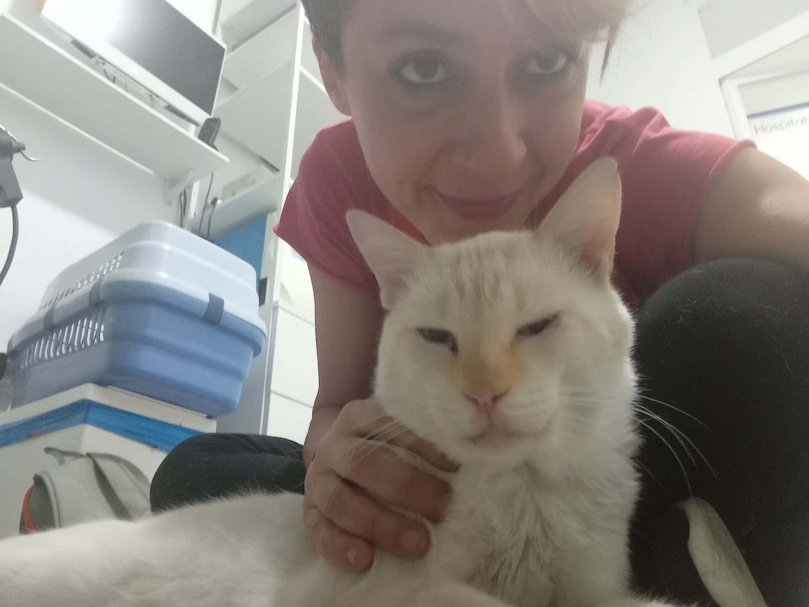 Centro Veterinario RAZAS