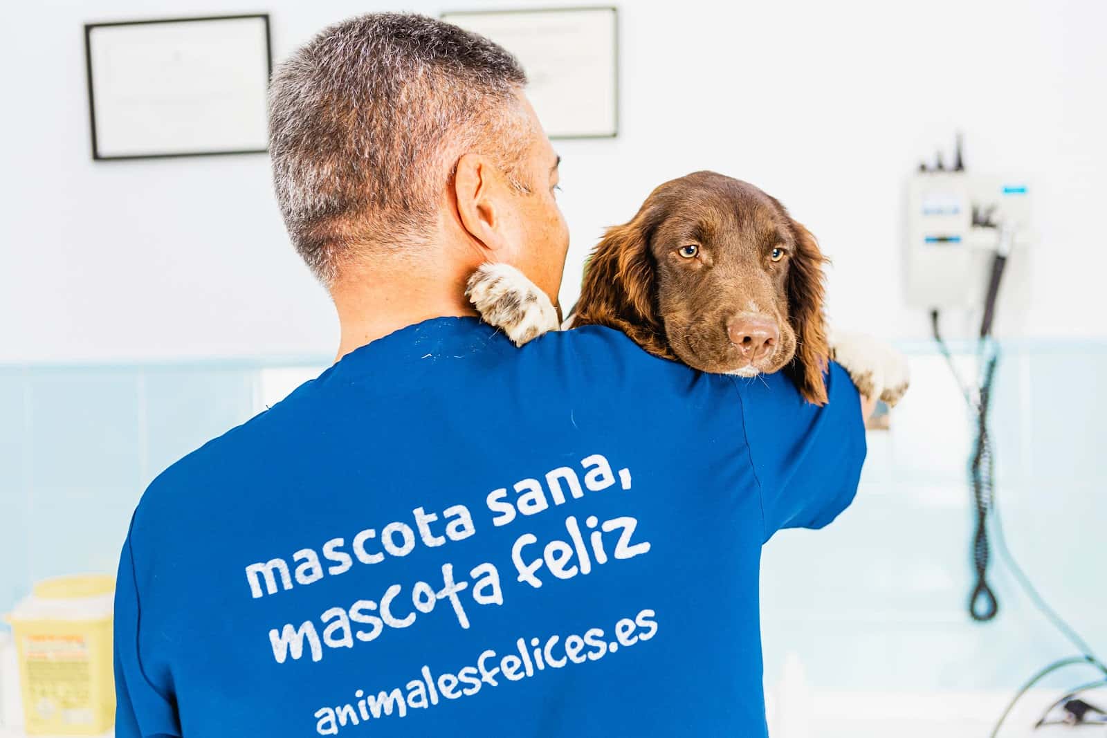 clinica veterinaria avila chiclana veterinario clinica en chiclana de la frontera en cadiz principalImage ADOPTA Sitios Pet Friendly