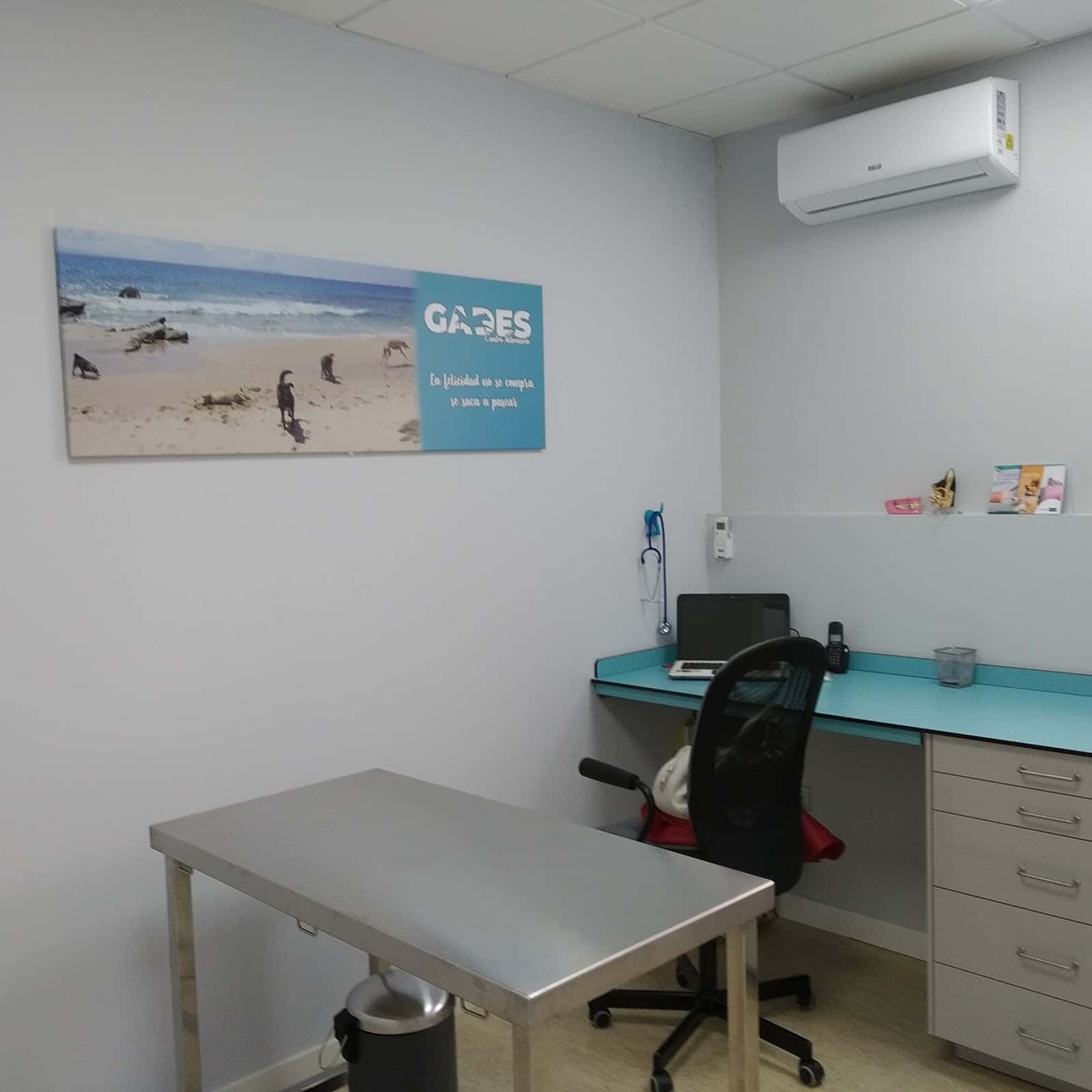 centro veterinario gades veterinario centro en chiclana de la frontera en cadiz principalImage ADOPTA Sitios Pet Friendly