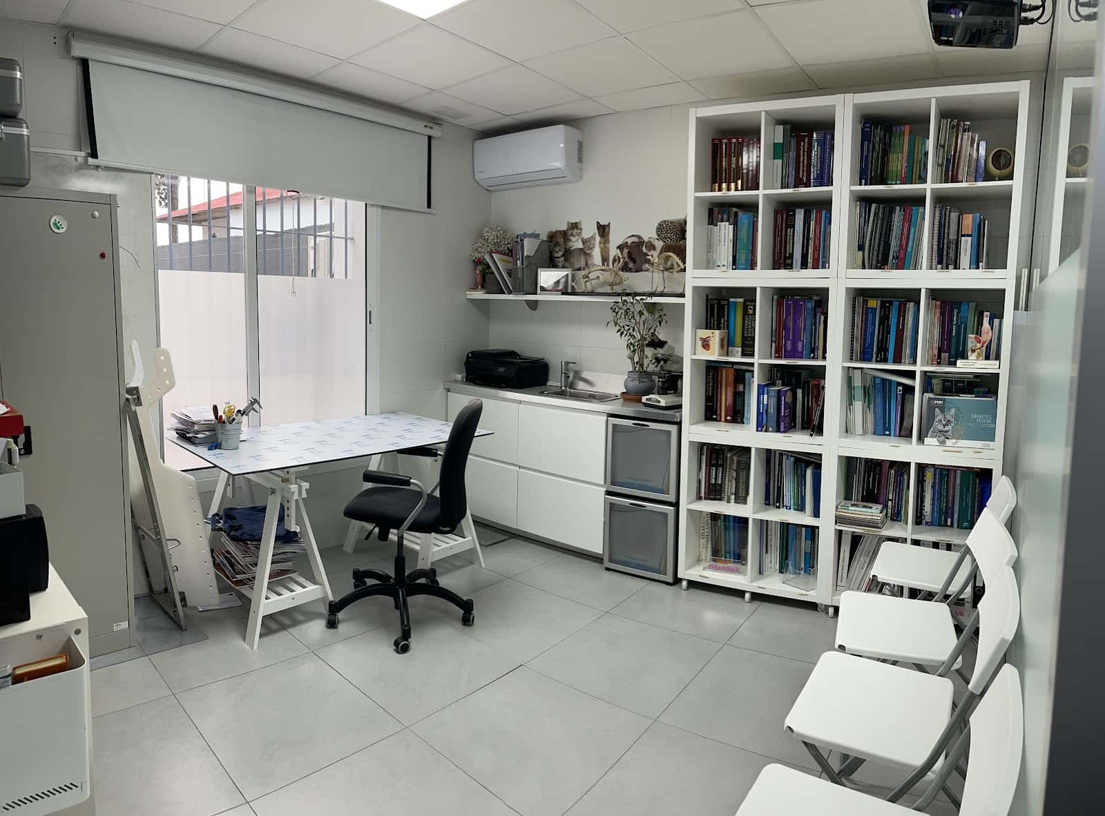 evidensia la arboleda hospital veterinario veterinario hospital en el puerto de santa maria en cadiz principalImage ADOPTA Sitios Pet Friendly