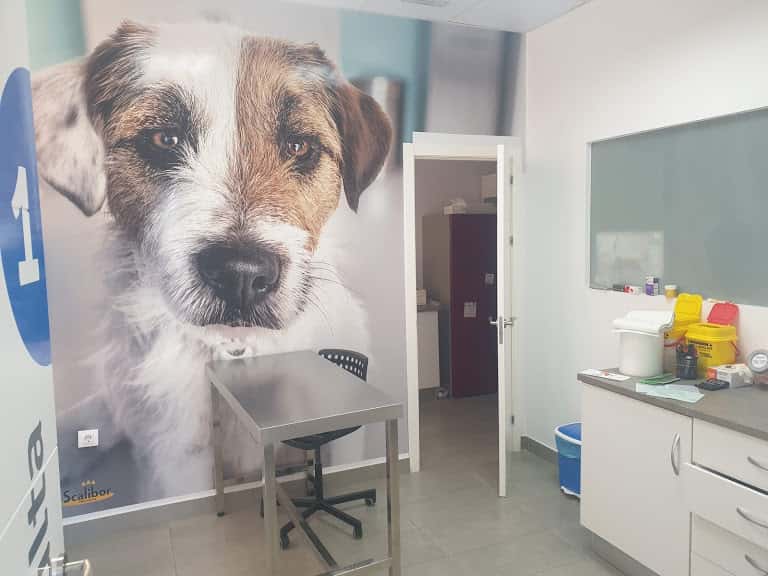 Clínica Veterinaria Mauna Loa