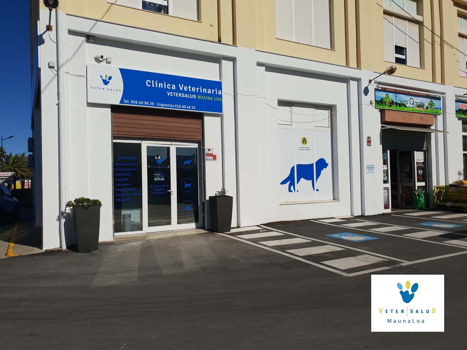 clinica veterinaria mauna loa veterinario clinica en chiclana de la frontera en cadiz photo undefined ADOPTA Sitios Pet Friendly