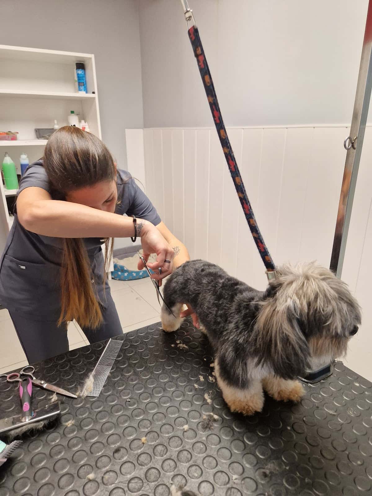 Clínica Veterinaria Alora | Chiclana