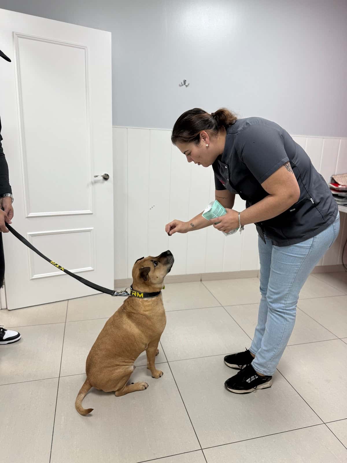 Clínica Veterinaria Alora | Chiclana
