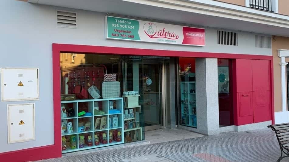 clinica veterinaria alora  chiclana veterinario clinica en chiclana de la frontera en cadiz principalImage ADOPTA Sitios Pet Friendly
