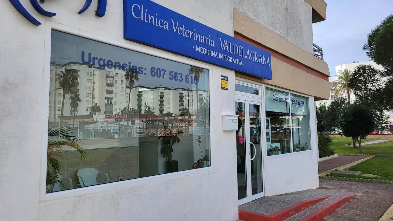 clinica veterinaria valdelagrana integrativa veterinario clinica en el puerto de santa maria en cadiz photo undefined ADOPTA Sitios Pet Friendly