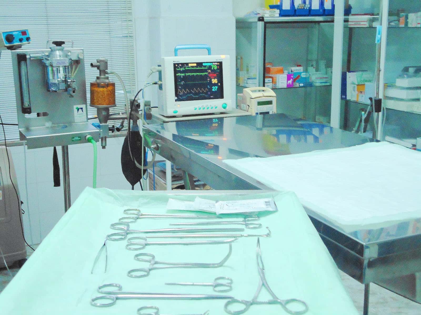 Centro Veterinario ARGOS