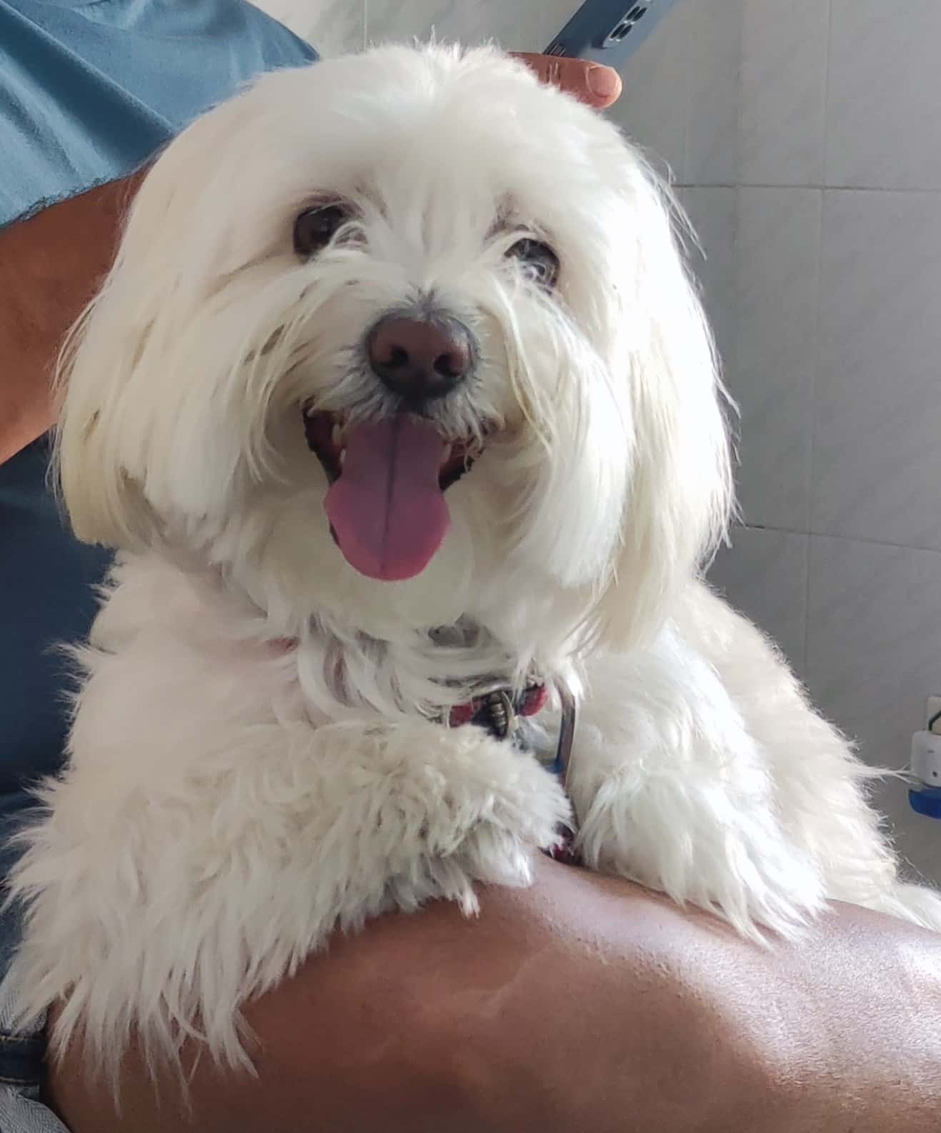 Clínica Veterinaría la Noria