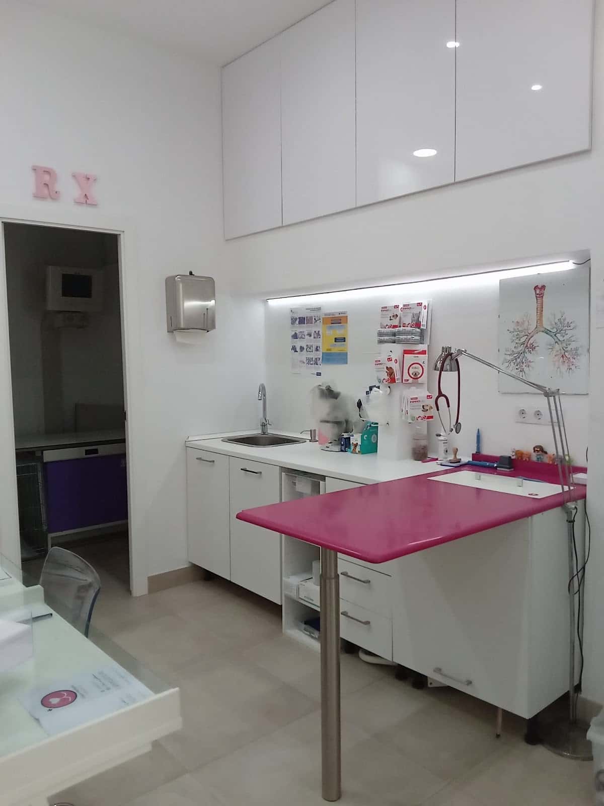 clinica veterinaria fuentebravia