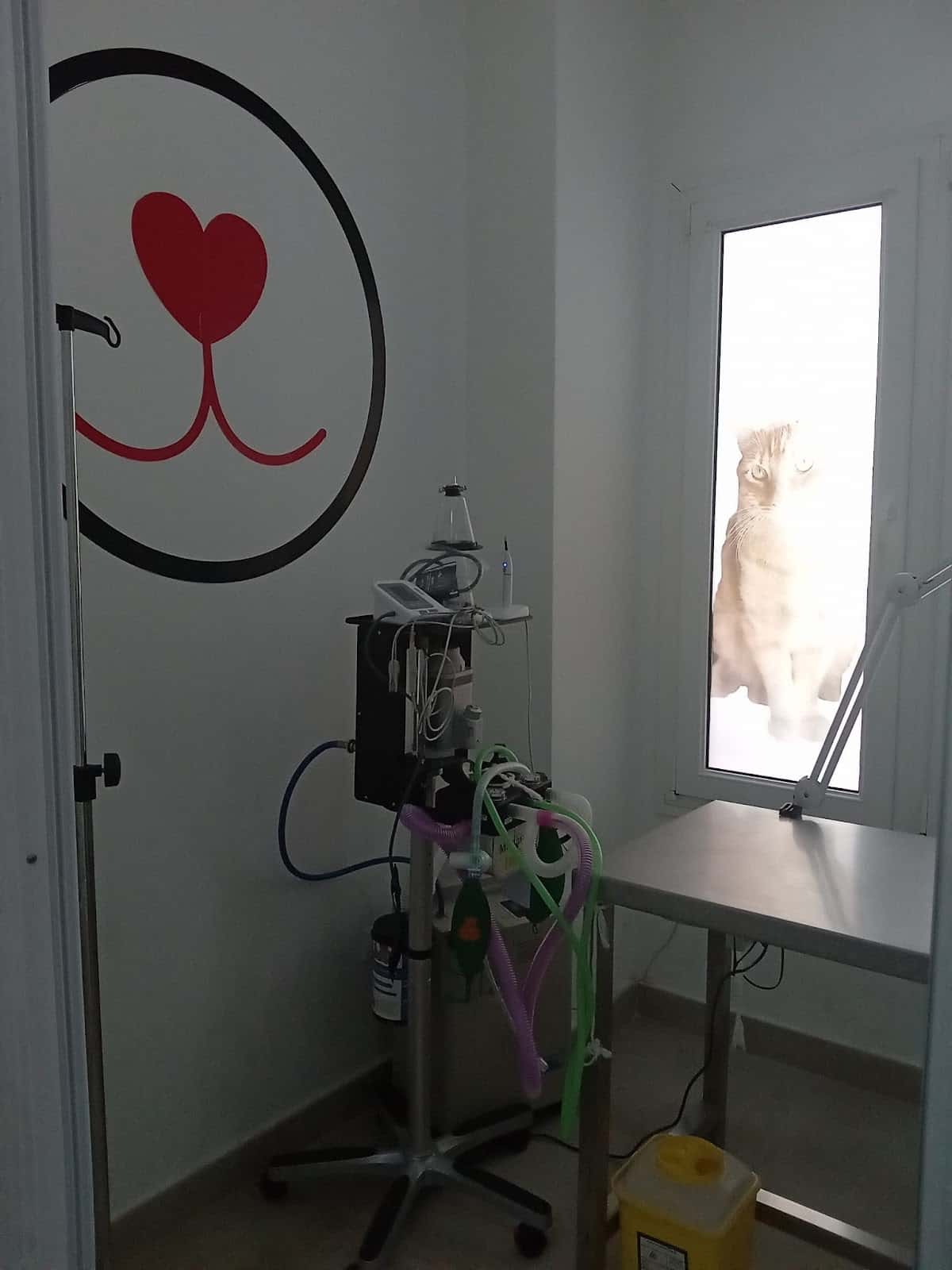 clinica veterinaria fuentebravia