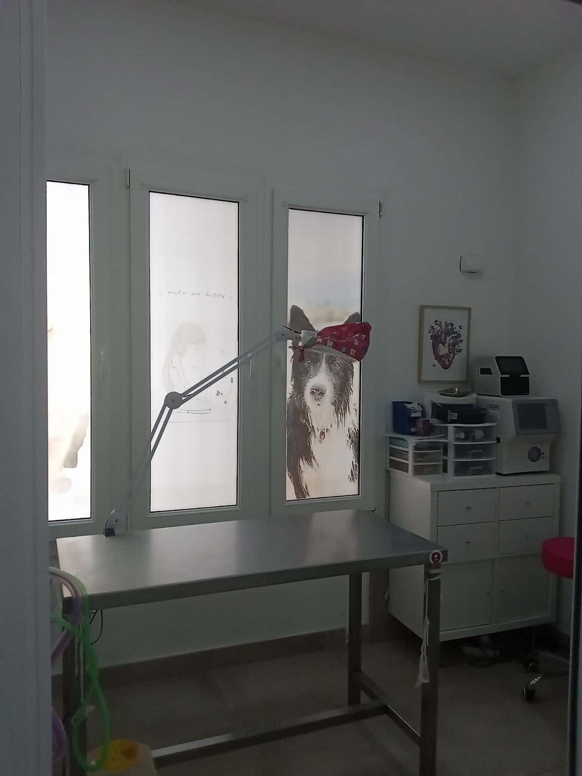 clinica veterinaria fuentebravia