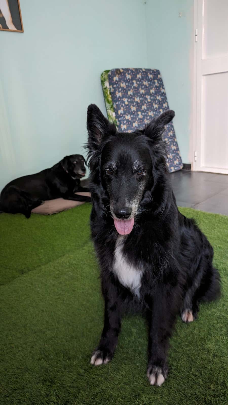 Clínica Veterinaria Santa María