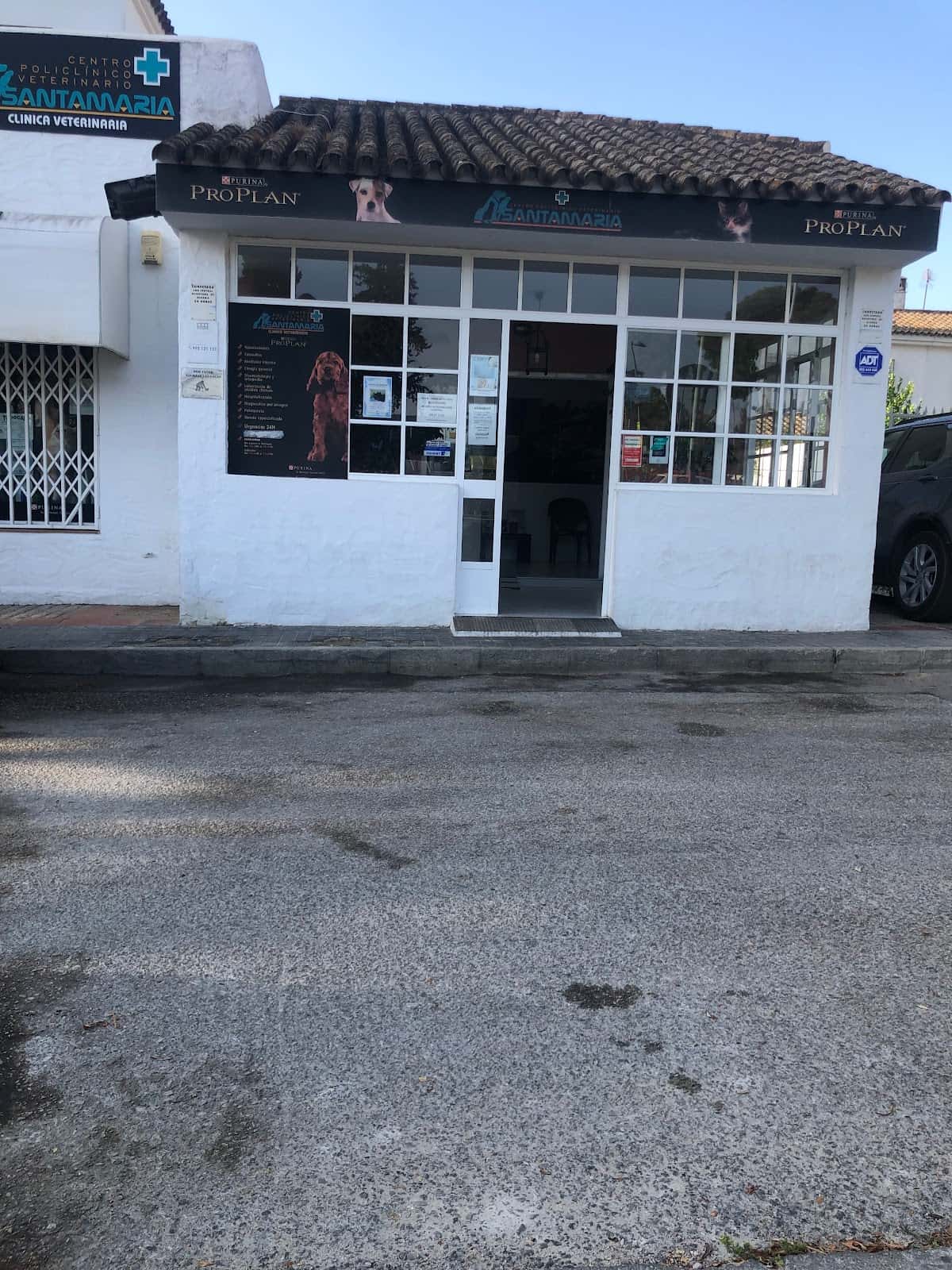 clinica veterinaria santa maria veterinario clinica en el puerto de santa maria en cadiz principalImage ADOPTA Sitios Pet Friendly