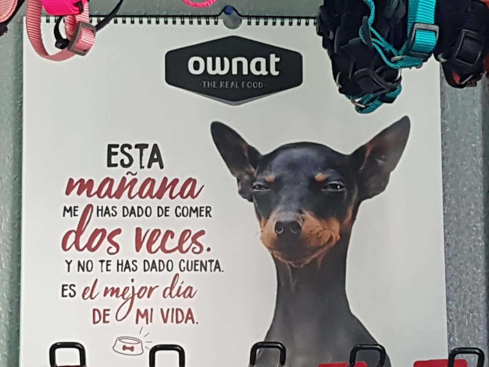 Clínica Veterinaria La Barca