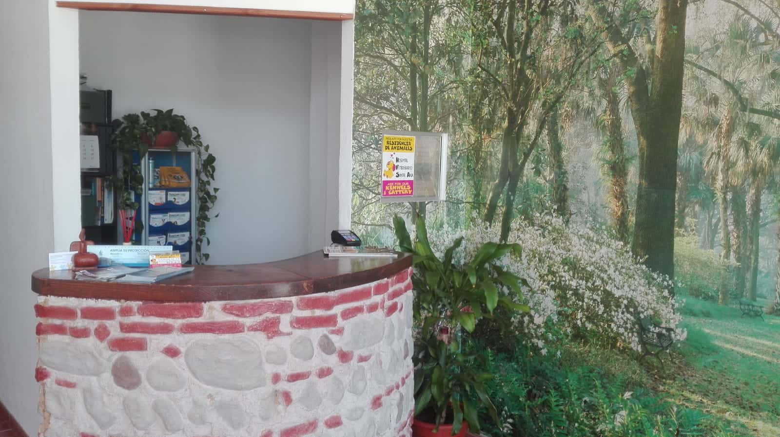 clinica veterinaria santa ana sabinillas veterinario clinica en san luis de sabinillas en malaga principalImage ADOPTA Sitios Pet Friendly