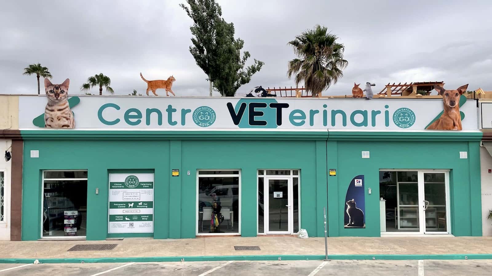 clinica veterinaria agya veterinario clinica en buenas noches en malaga principalImage ADOPTA Sitios Pet Friendly