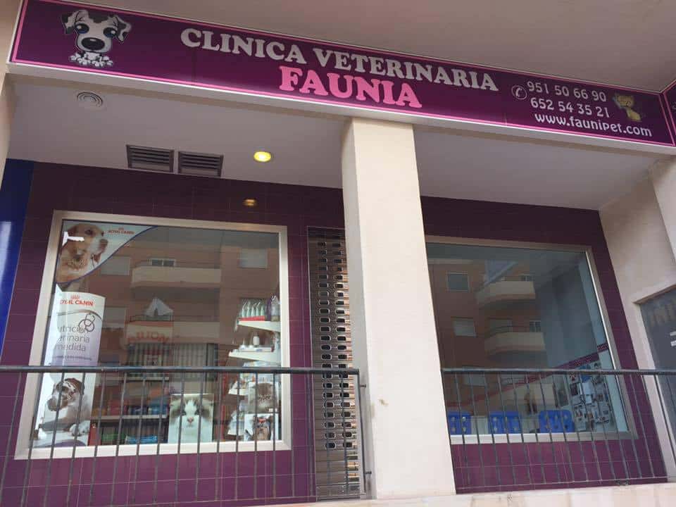 clinica veterinaria faunia sabinillas veterinario clinica en san luis de sabinillas en malaga principalImage ADOPTA Sitios Pet Friendly
