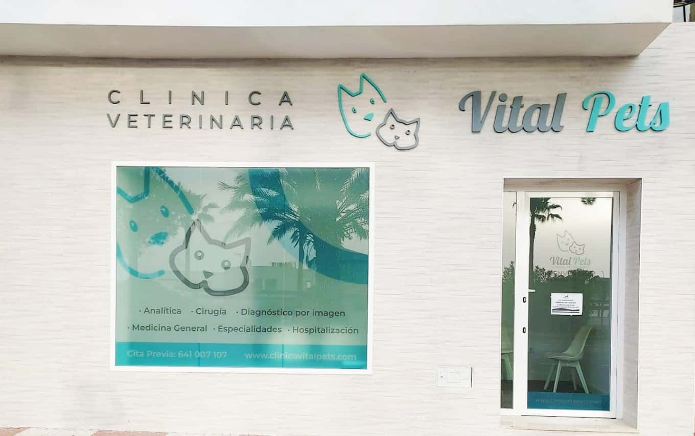 vital pets clinica veterinaria veterinario clinica en el cuervo en sevilla principalImage ADOPTA Sitios Pet Friendly