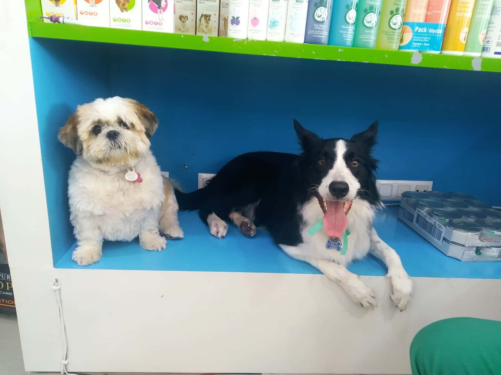 Centro Veterinario San Jerónimo