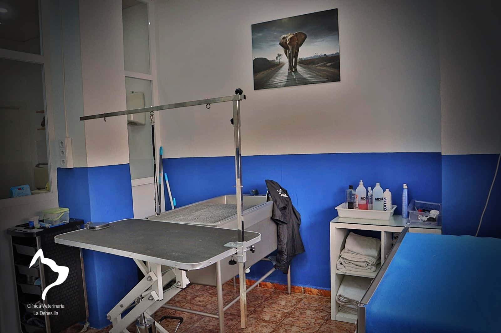 clinica veterinaria la dehesilla veterinario clinica en sanlucar de barrameda en cadiz principalImage ADOPTA Sitios Pet Friendly