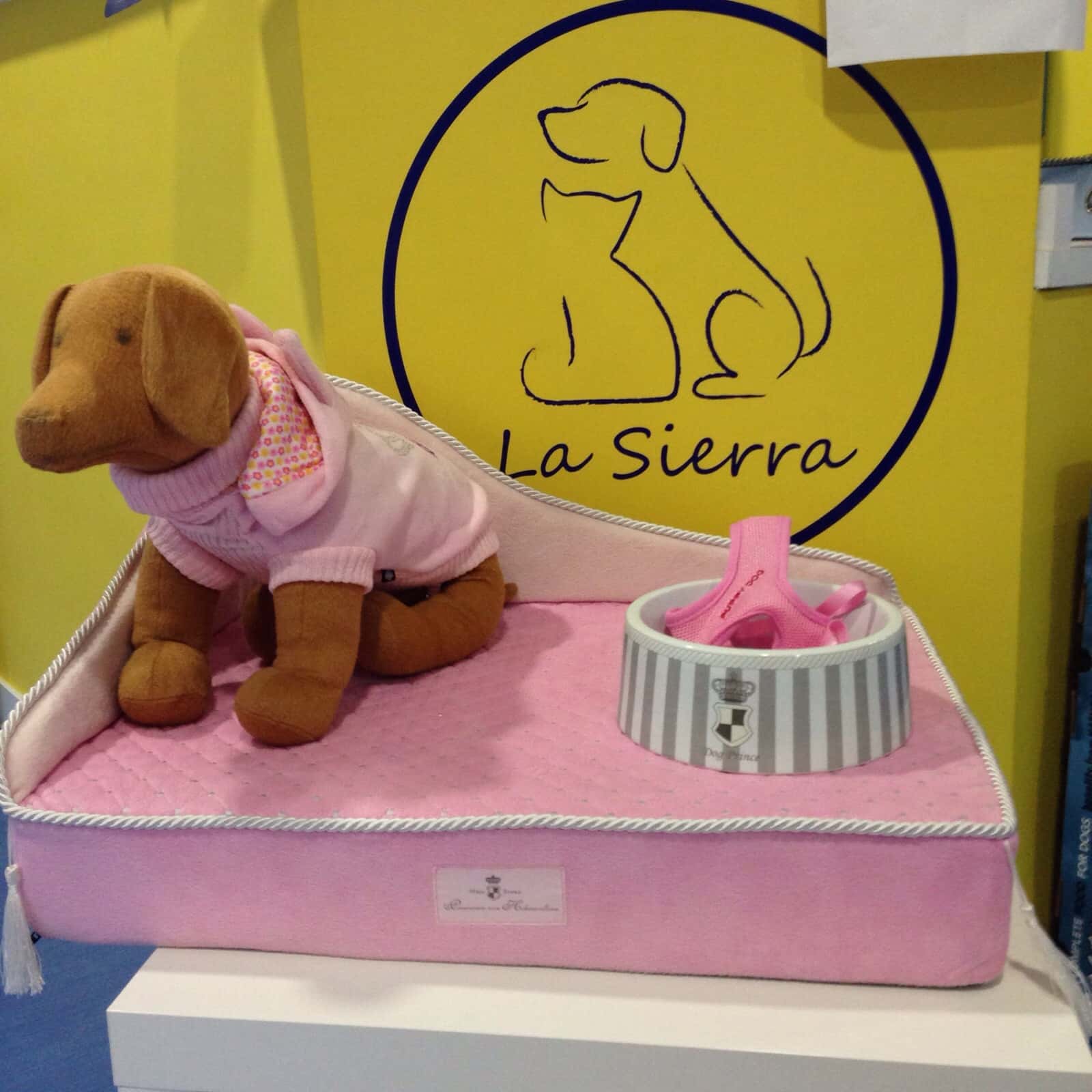 clinica veterinaria la sierra veterinario clinica en ronda en malaga principalImage ADOPTA Sitios Pet Friendly