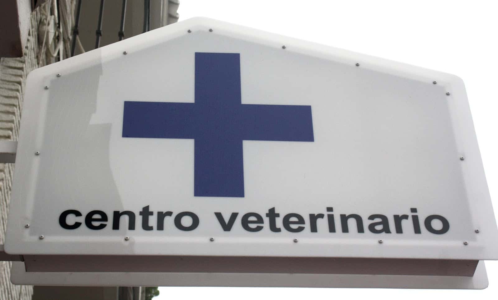 Boycan Centro Veterinario