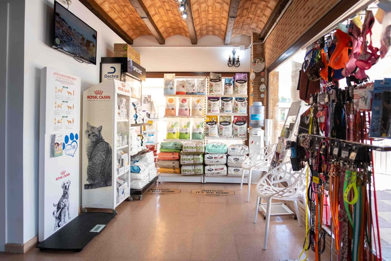 centro veterinario vet pet veterinario centro en sanlucar de barrameda en cadiz principalImage ADOPTA Sitios Pet Friendly