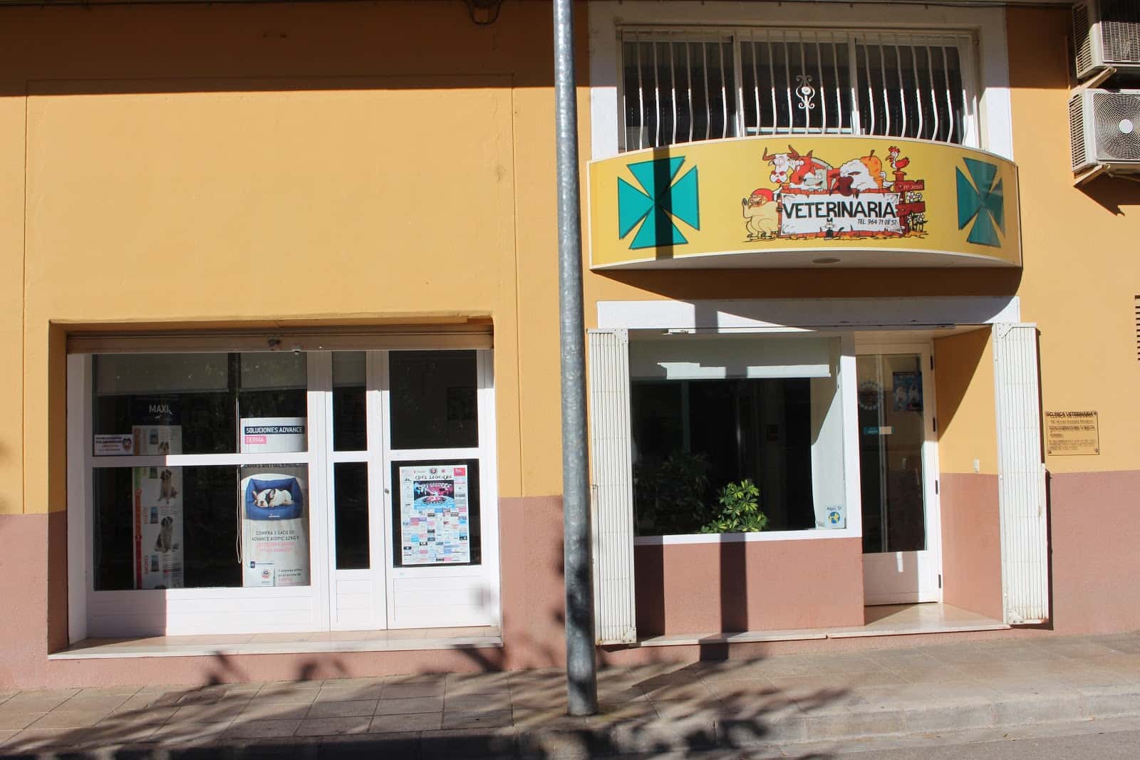 veterinaria segorbe   mª jesus gamon ovejero veterinario centro en segorbe en castellon principalImage ADOPTA Sitios Pet Friendly