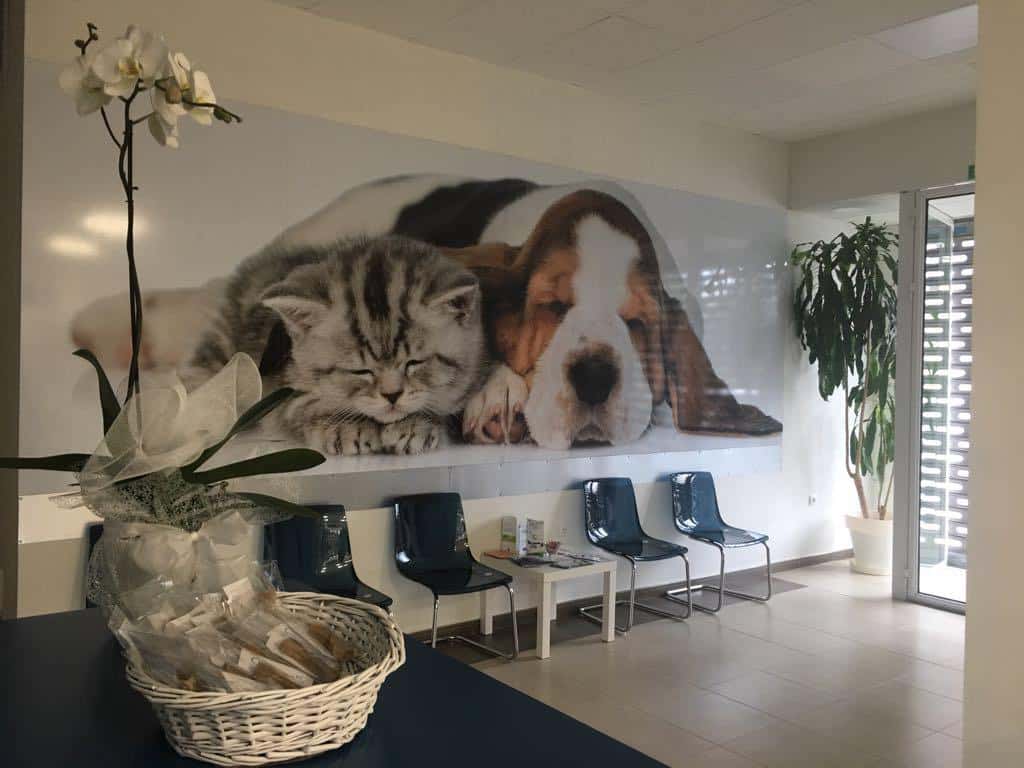 Clinica Veterinaria Antonio Campos