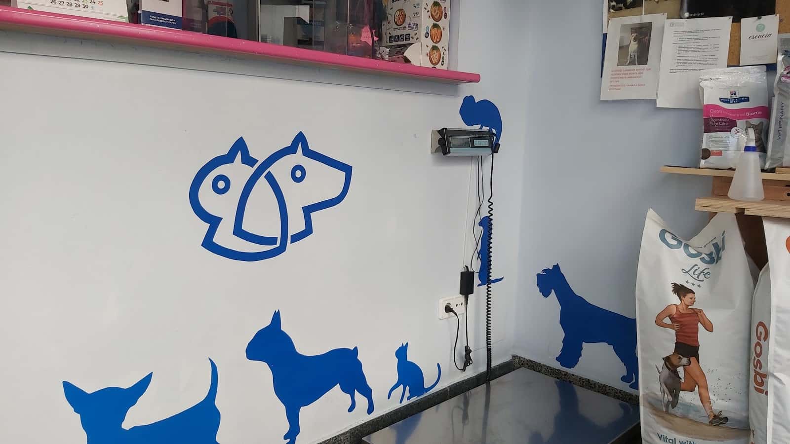 Clínica Veterinaria Segorbe