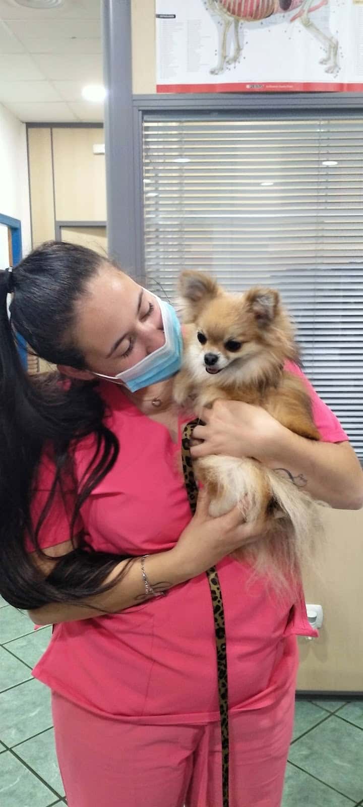 Vila-real veterinaria
