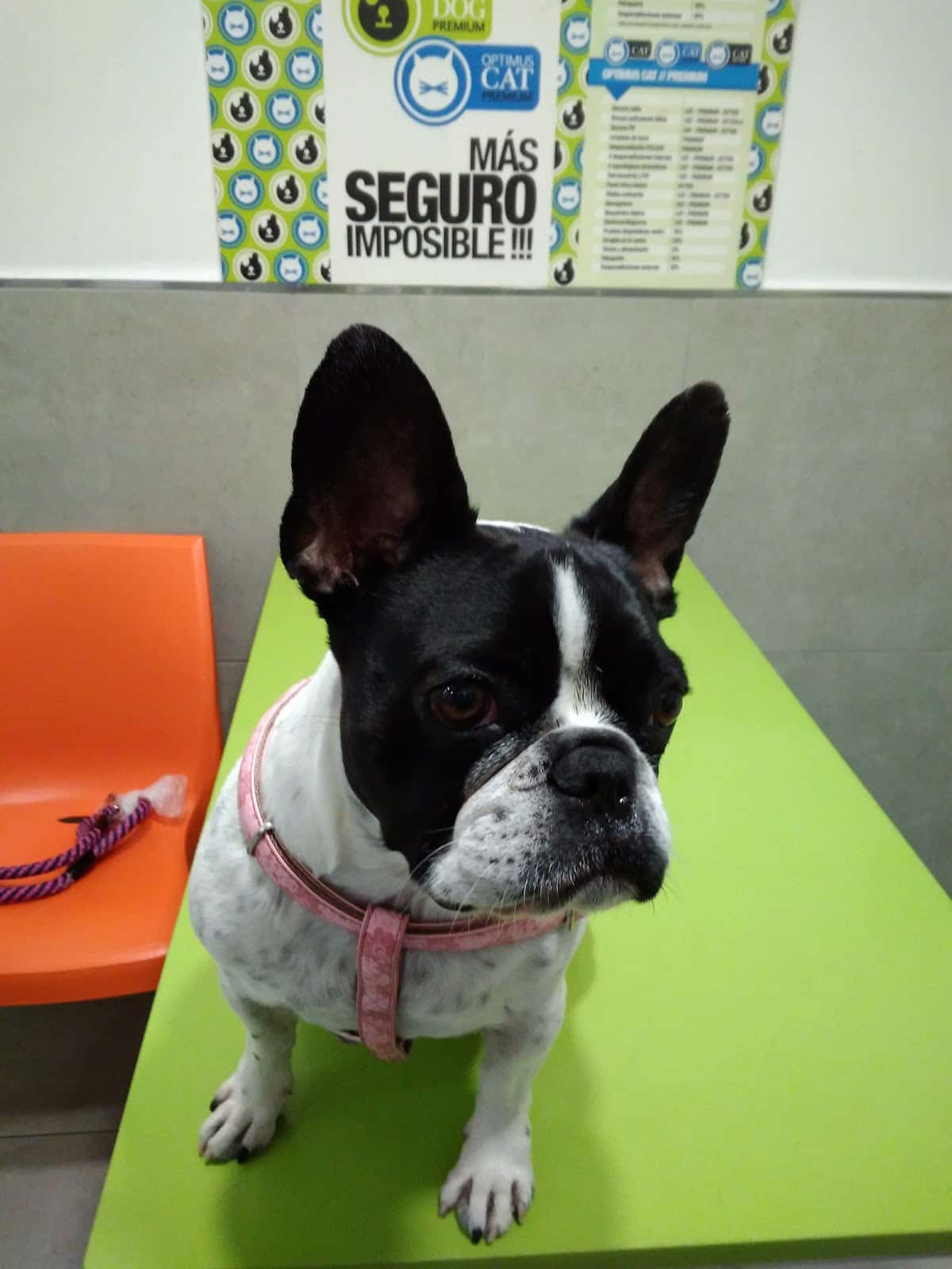 Clínica Veterinaria Sant Antoni