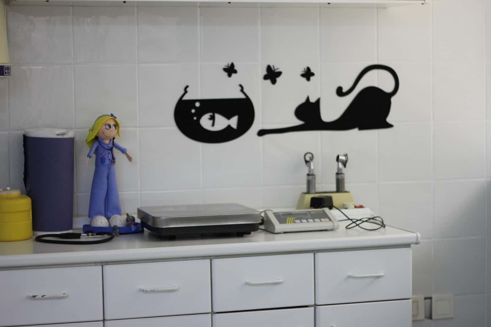 POLICLINICA VETERINARIA CASTELLÓ