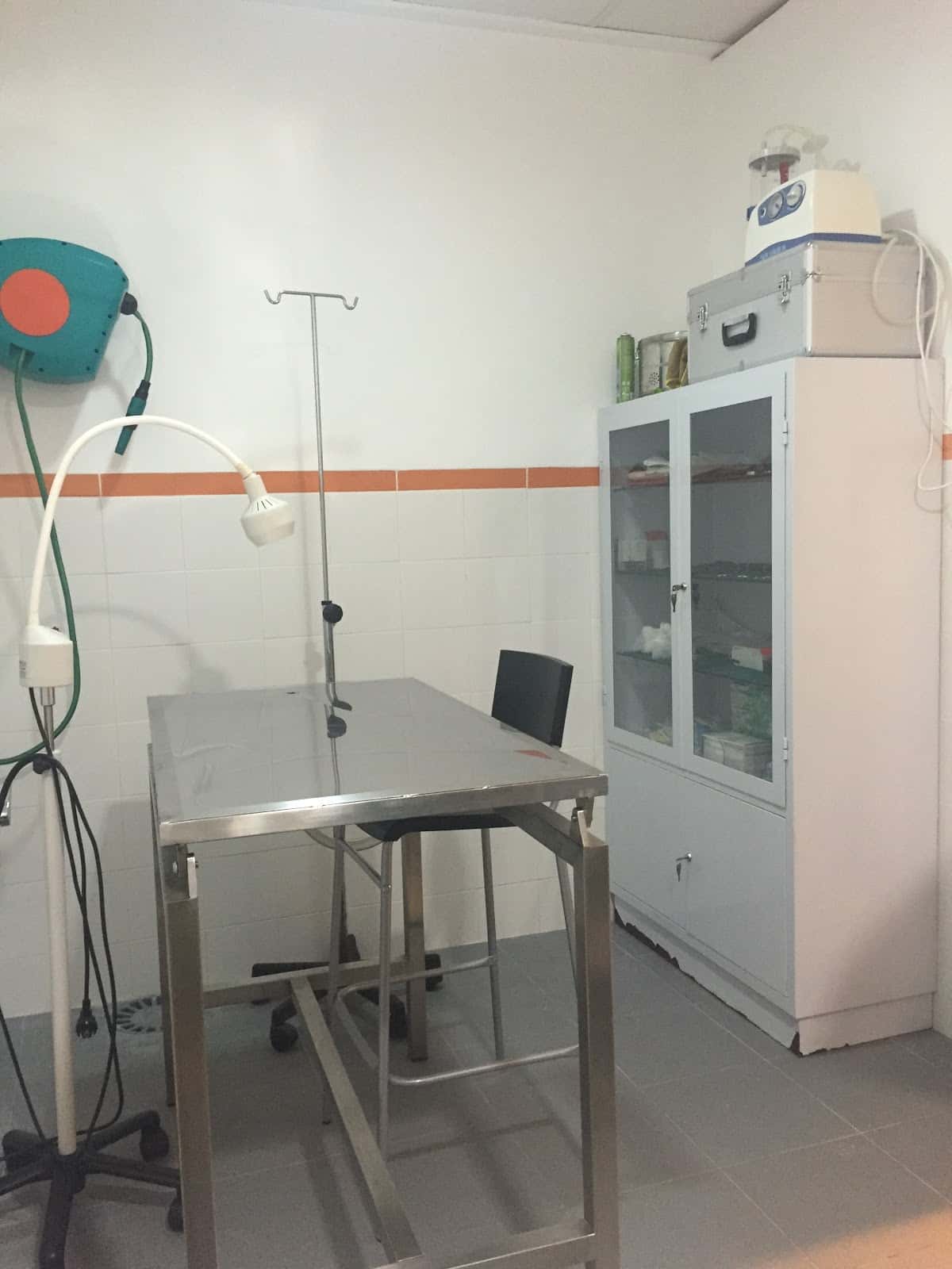 Animalets Consultori Veterinari