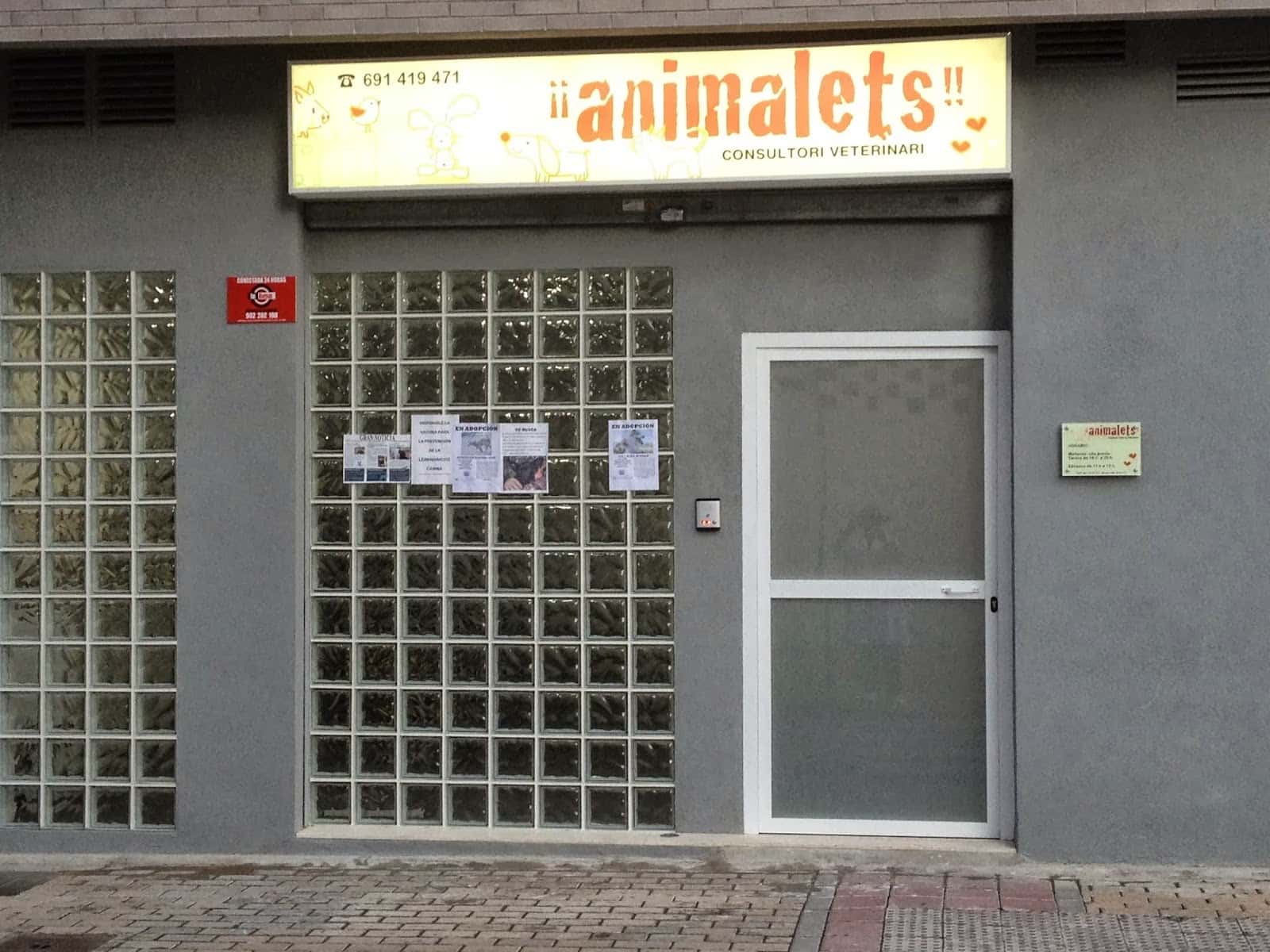 animalets consultori veterinari veterinario centro en castellon de la plana en castellon principalImage ADOPTA Sitios Pet Friendly
