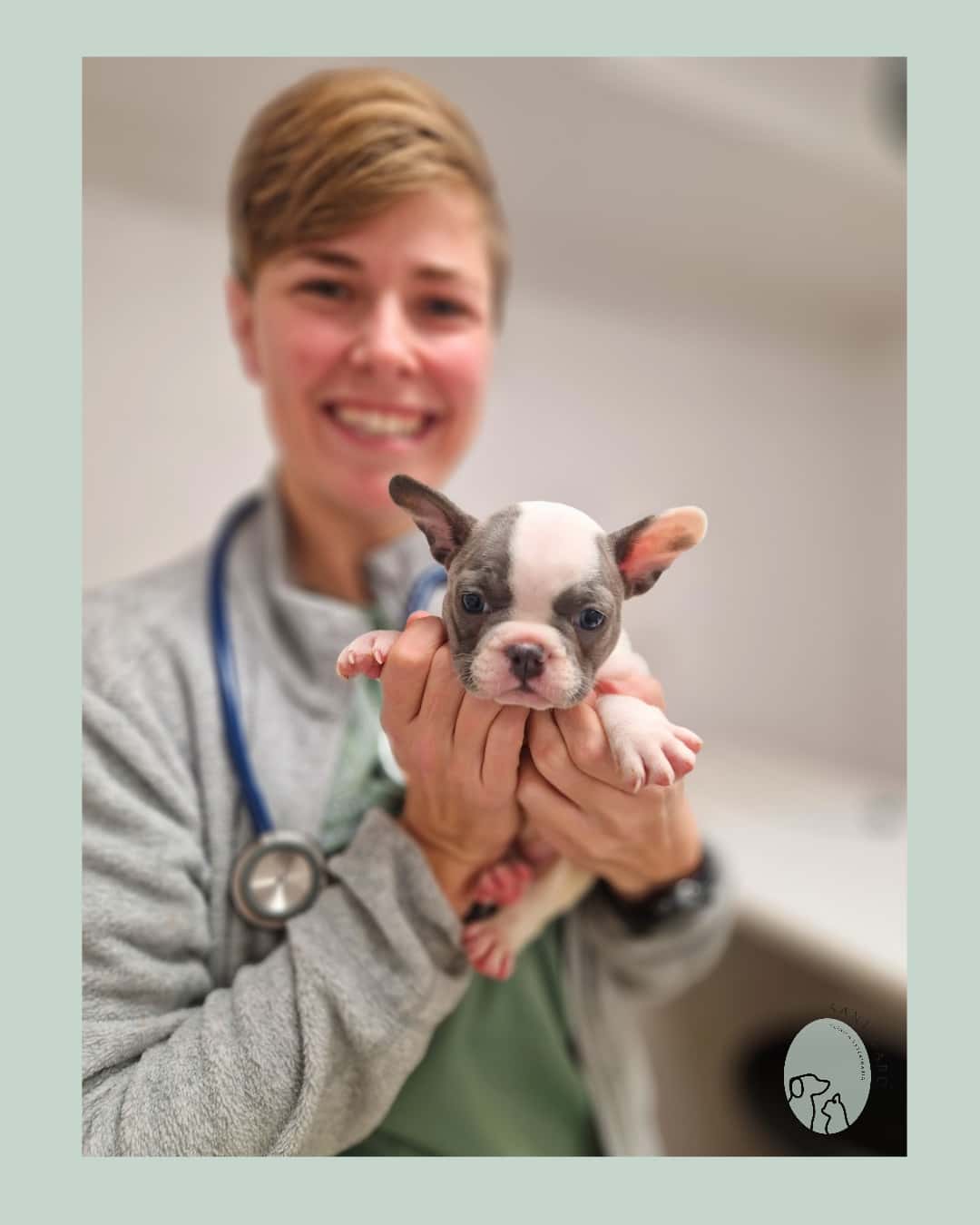 Clínica Veterinaria Sant Marc