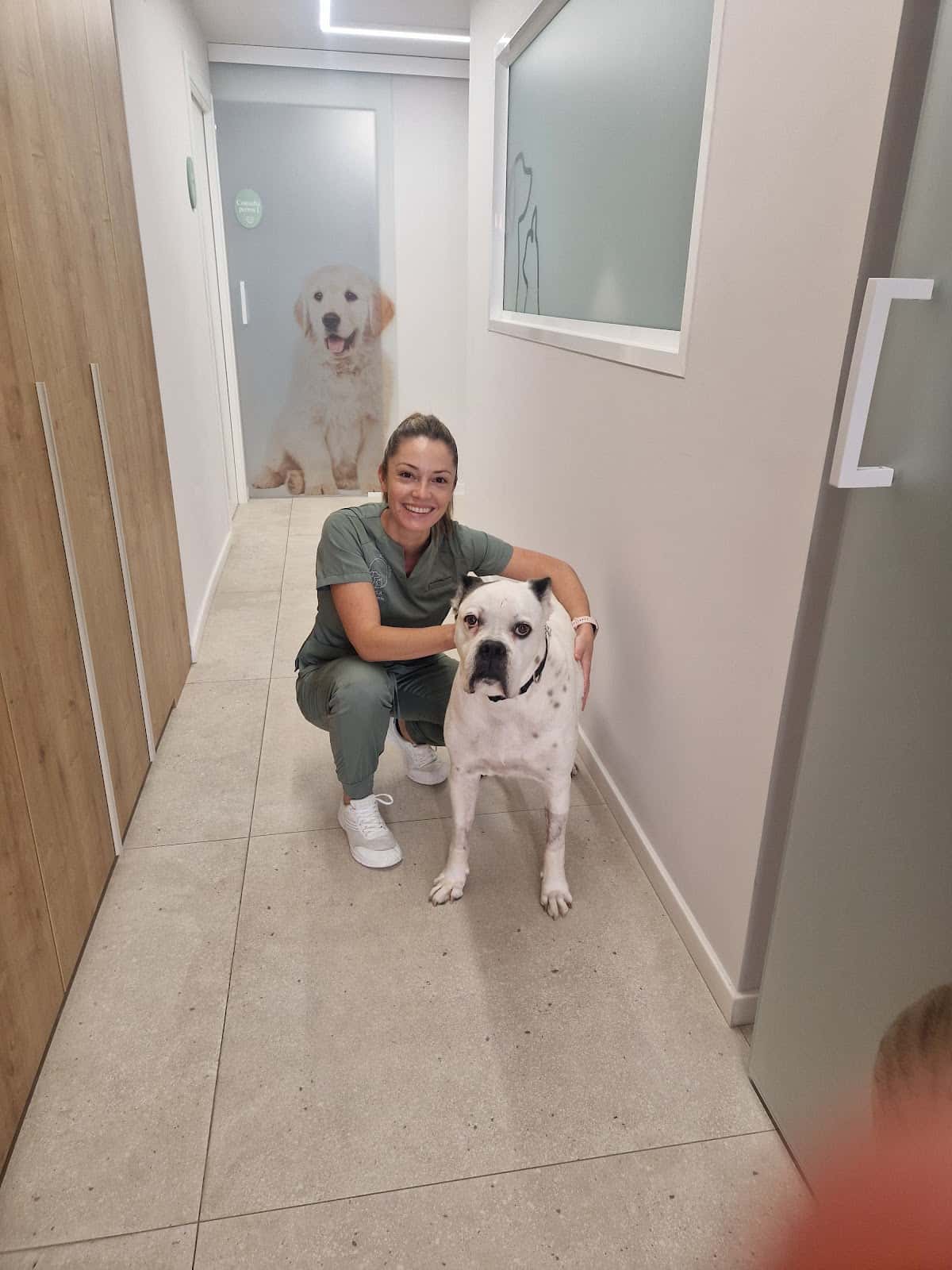 clinica veterinaria sant marc veterinario clinica en almassora en castello photo undefined ADOPTA Sitios Pet Friendly