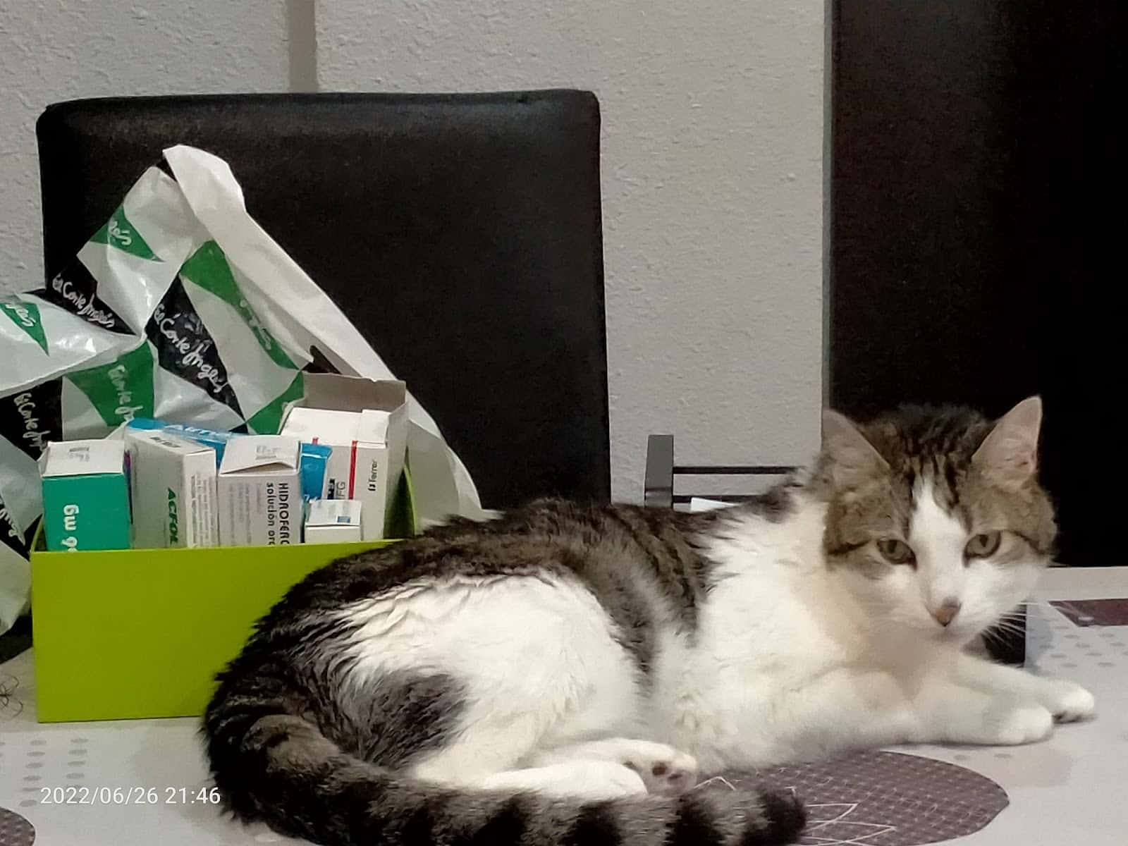 Clínica Veterinària Cisneros