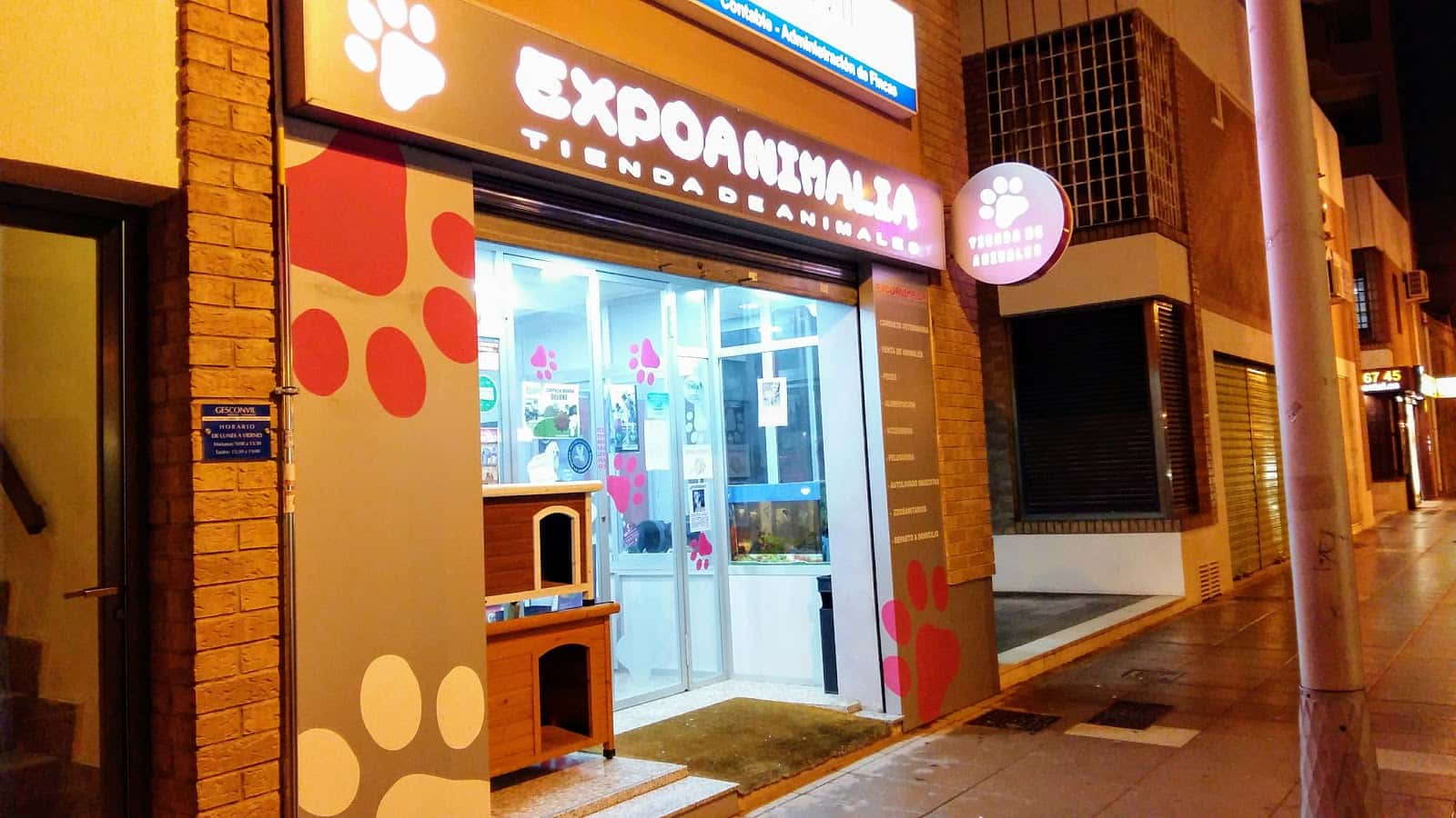 expoanimalia pio xii veterinario centro en villarreal en castellon principalImage ADOPTA Sitios Pet Friendly