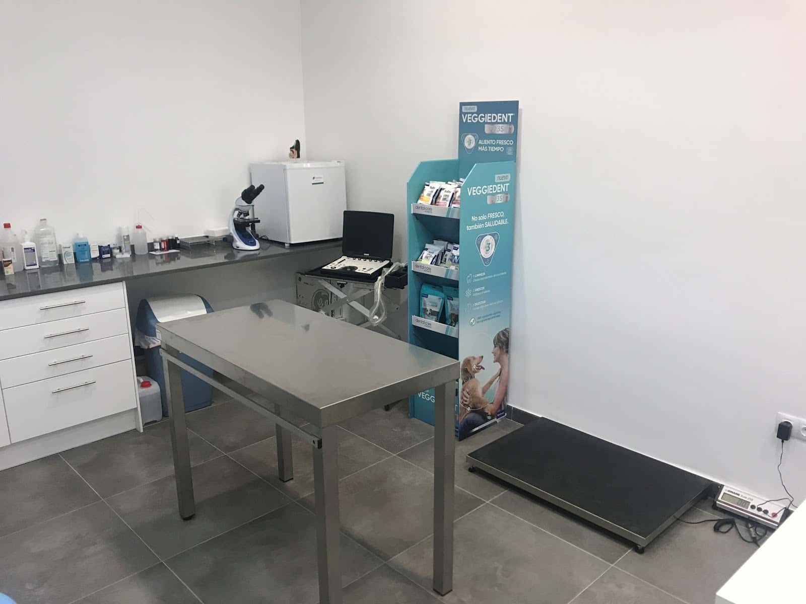LIDIA GARCIA VETERINARIA