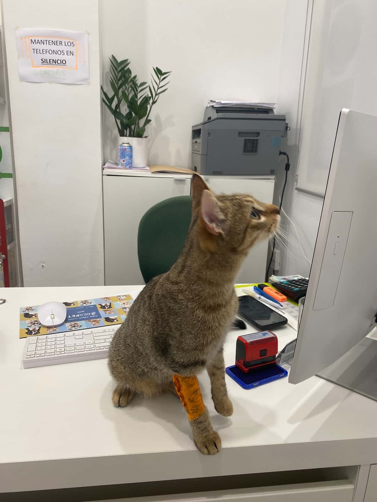 LIDIA GARCIA VETERINARIA