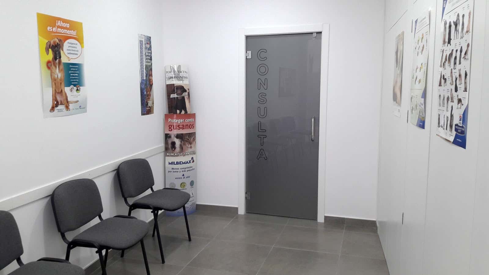 CLINICA VETERINARIA MAYOR 18