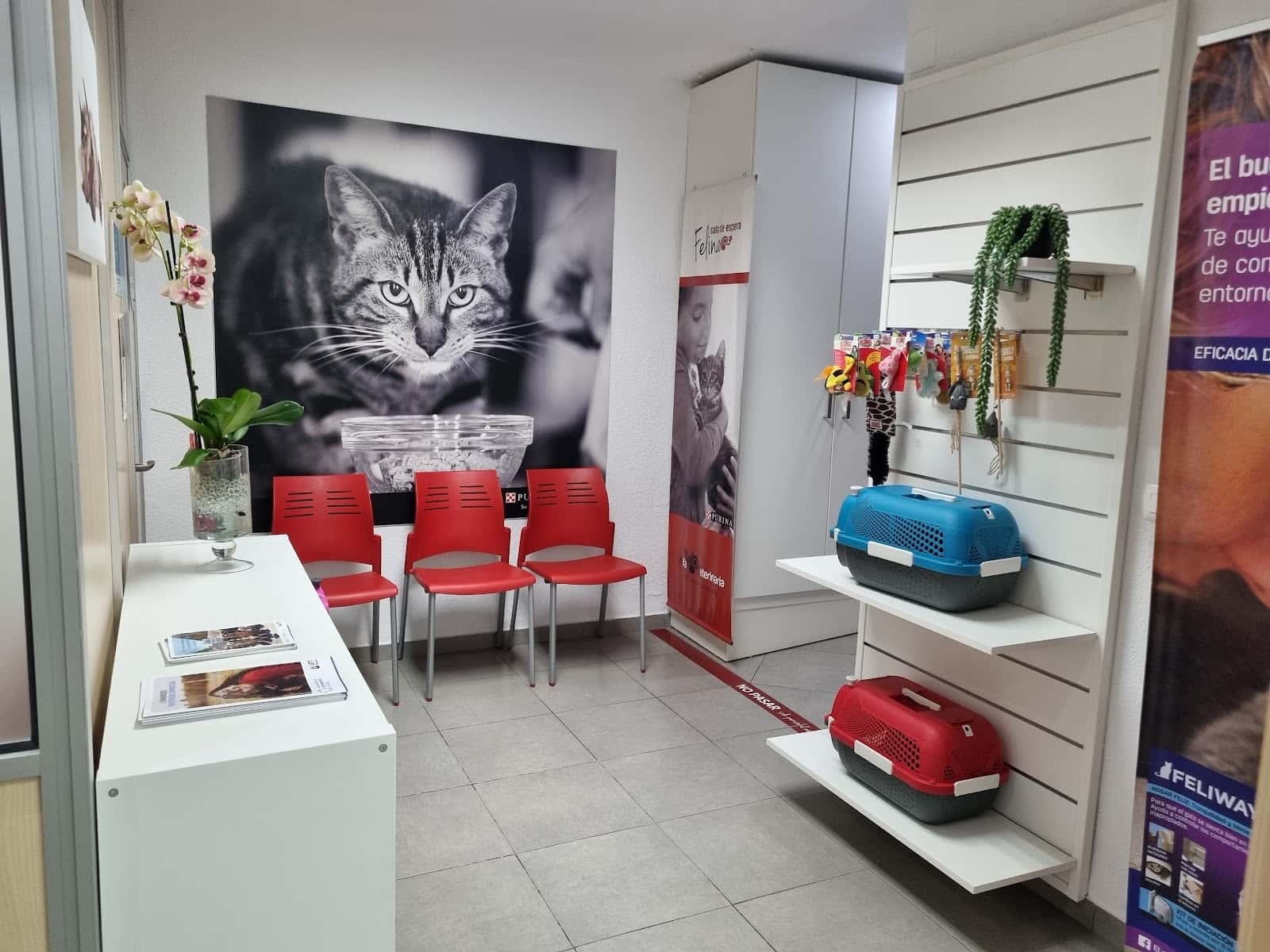 Alfa Veterinaria